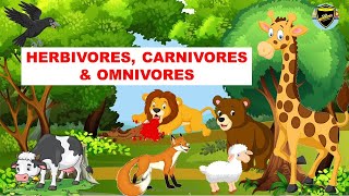 Herbivores  Carnivores  Omnivores  Types of Animals [upl. by Anaerda487]