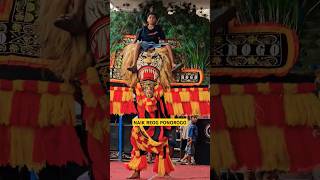 NAIK REOG PONOROGO 🔥 Wahyu Putro budoyo reog reogponorogo wahyuputrobudoyo [upl. by Niklaus798]