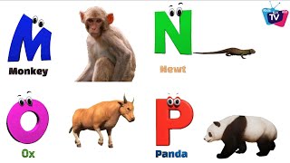 Animals ABC Song  Animals Alphabet Song  English Alphabet Letters  Phonics for Kids [upl. by Dinah]