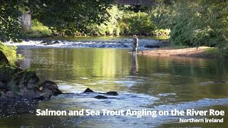 Salmon and Sea Trout Angling on the River Roe Northern Ireland [upl. by Aerdnek]