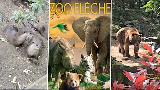 VLOG ZOO DE LA FLECHE  visite complète du parc [upl. by Leia680]