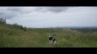 The Standard Landfill Site Footpath Solar Hill Buckley Flintshire Panasonic DMCG9 [upl. by Antoine]