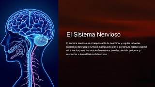 EL SISTEMA NERVIOSO [upl. by Sierra]