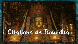 Citations de Bouddha [upl. by Tannenbaum709]