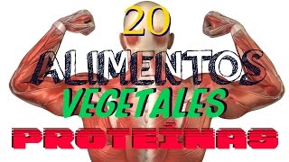 💪 TOP 20 Vegetales ricos en PROTEÍNA 💪 [upl. by Cerell948]