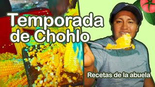 Receta con CHOCLOS o elotes  Primera Cosecha del Año [upl. by Catima825]