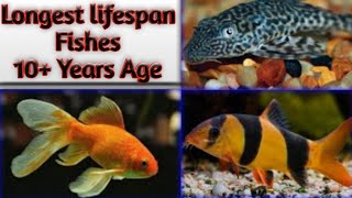 Best Long living Aquarium fishes Which can live upto 10 years [upl. by Koblas964]