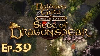 Baldurs Gate Siege of Dragonspear Ep 39  Ogre Diplomacy  Lets Play Gameplay [upl. by Aylatan]