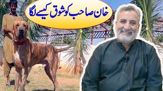 Pakistani Top Class Dog Lover Sardar Qayoum Khan of Interview Pakistani Bully Kutta Lover [upl. by Aidekal409]