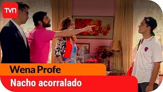 Nacho acorralado  Wena Profe  T1E136 [upl. by Dardani309]