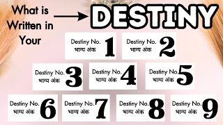 Pick Your Destiny Noभाग्य अंक☀️What is Written in Your Destiny in 2024☀️ [upl. by Anatol677]