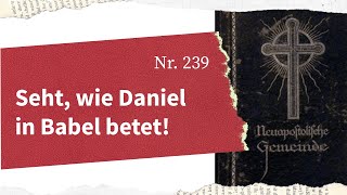 AGB 239  Seht wie Daniel in Babel betet [upl. by Igig]