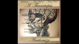 Full album Thanatopsis  Anatomize [upl. by Ressay]