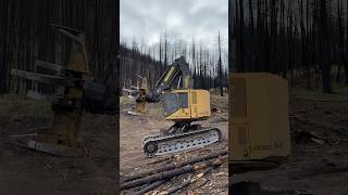 Feller Buncher on the move TigerCat 830D doing fire salvage harvesting [upl. by Revart773]