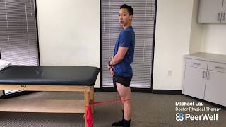 Terminal Knee Extension TKEs to Work on Getting Your Knee Straight [upl. by Eisler]