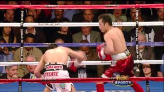 Nonito Donaire vs Fernando Montiel Highlights [upl. by Carbrey]