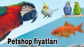 Düven av market ve Petshop ziyaretimGüncel Muhabbet kuşu fiyatlarıPapağan fiyatlarıkanaryalar [upl. by Eveivenej]