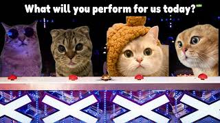 CAT MEMES Competes on Americas Got Talent [upl. by Dahlia]