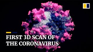 First 3D scan of the real coronavirus revealed [upl. by Whorton]