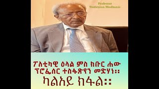 ፖለቲካዊ ዕላል ምስ ክቡር ሐው ፕሮፌሰር ተስፋጽየን መድሃነ ካልአይ ክፋል Part 2 Professor Tesfatsion Medhanie [upl. by Pelagi433]