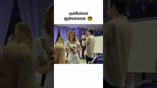 😅😂 ලැස්තිවෙයන් සුදු මහත්තයෝ 😅😂 viralshort viralvideo shorts wedding [upl. by Pownall]