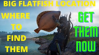 Big Flat fish Location in Assassins Creed Valhalla [upl. by Leveridge]