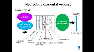 Translational Research on Biomedical Interventions for Autism [upl. by Ahsiea]