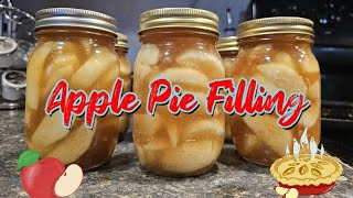 Apple Pie Filling [upl. by Pickar733]