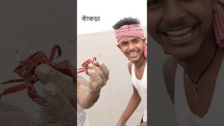 BaKkhali shorts funny addamasti07 viralvideo trending [upl. by Selohcin]