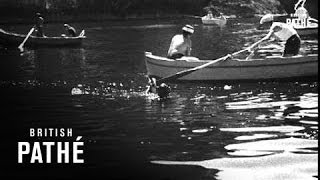 Championnats De Peche SousMarine AKA Underwater Fishing Championship In Italy 1962 [upl. by Koerner]