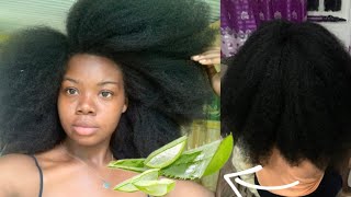 3 ways to use Aloe Vera for massive Hair GROWTH HYDRATION and SHINE [upl. by Adnicaj]