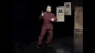 Yang Family Tai Chi Chuan 85 Form with Fu Sheng Yuan Part 1 [upl. by Llenrac]