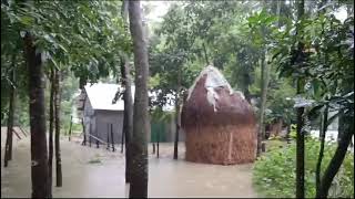 Heavy Rain In Comilla 2024 [upl. by Akcinat]