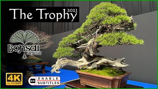 Trophy Bonsai 2023 el mayor congreso de bonsai de Europa [upl. by Herahab459]