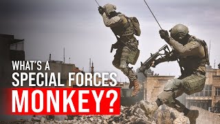 Israeli CounterTerror Monkeys Explained [upl. by Niklaus]