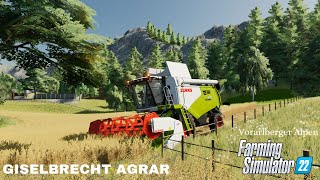 LS22 Vorarlberger Alpen  Fragen zur Map Live [upl. by Droffats]