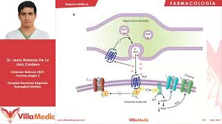 Farmacología del Sistema Nervioso Parasimpático  Farmacología 3  Villamedic [upl. by Honey]