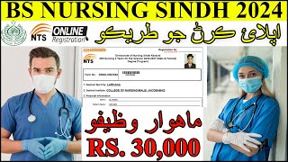 StepbyStep Guide Applying for BSN Nursing Admission 2024 via NTS  Sindh Government Rs30000 [upl. by Latsyek434]