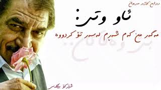 Sherko bekas bewafakan شێرکۆ بێکەس بێوەفاکان [upl. by Namlak]