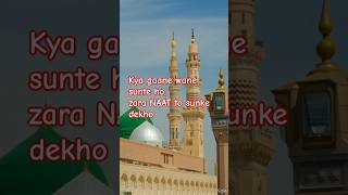 STATUS VIDEO  MAIN TO AASHIK HOON NABI KA  ARIF RAZA QADRI shortnaat shortvideo [upl. by Buckley]