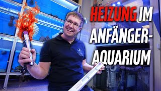 HEIZUNG im MEERWASSERAQUARIUM  Anfängeraquarium [upl. by Ehrman]