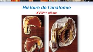 ANATOMIE MS Histoire de lAnatomie [upl. by Wolfram478]