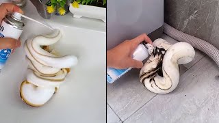 Drain Cleaner Foam Test and Demo 2021 Does it Work [upl. by Aleira488]