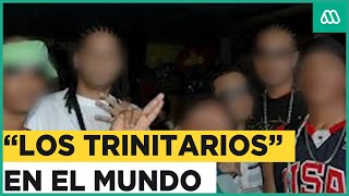 ¿Quiénes son “Los Trinitarios” La peligrosa banda de origen dominicano que opera en Chile [upl. by Mosenthal463]