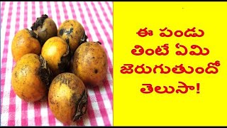 Tuniki pandu  tuniki kaya  tendu fruit  telugu  persimmon  rare tropical fruit jungle benefits [upl. by Eurd]