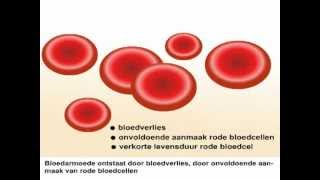 Bloedarmoede  Wat is bloedarmoede en wat zijn de symptomen [upl. by Arathorn]