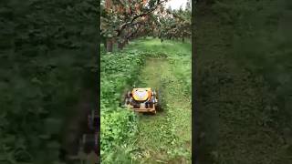 Lawn Mower Robot For Farm short [upl. by Naedan]