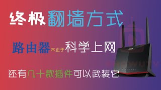 路由器翻墙｜路由器梅林固件科学上网lite插件Clash小猫咪插件安装使用教程｜路由器科学代理｜实现真正全家出国 [upl. by Ellezaj]