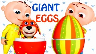 Five Little Babies Opening Giant Eggs  Zool Babies Fun Songs  Five Little Babies Collection [upl. by Paulita816]