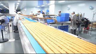 How Factories Make Millions of Cookies  Cookie Factory Process [upl. by Anaehr206]